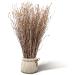 100% Natural Birch Branches for DIY Crafts and Home Decor - 200pcs (17inch) - Buy Online on GoSupps.com