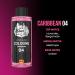 the shave factory After Shave Cologne Series (04 Caribbean 500ml (16.9 fl. oz)) 04 Caribbean 16.9 Fl Oz (Pack of 1) - Buy Online on GoSupps.com