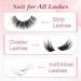 Super Strong Clear Lash Glue for False Eyelashes | Latex-Free Waterproof Fast-Drying Adhesive | 5ml Long-Lasting Lash Adhesive | International Shipping Available - Buy Online on GoSupps.com