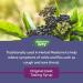 Nature's Way Sambucus Cold and Flu Care Original Elderberry Syrup Used in Herbal Medicine to Help Relieve Symptoms (Coughs and Sore Throats) in Adults 120 ml - Buy Online on GoSupps.com