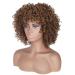 14-Inch Brown Curly Afro Wig for Women - Natural Kinky Bob with Ponytail | Perfect Volume for Black Women - Buy Online on GoSupps.com