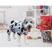 XPUDAC Small Dog Pajamas Set - 4 Piece Puppy Onesies for Christmas, Cats & Dogs Jammies, Black - S (3.5-7 LBs) - Buy Online on GoSupps.com