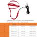 Buy Cyrank Adjustable Bird Dishes & Pet Leash for Outdoor Training - Perfect for Nymphensittich & Alexandriner - XL Size Available - Buy Online on GoSupps.com