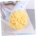 Beaupretty 1PC Shower Sponge Mesh Balls Sponge Bath sponges for Shower sponges for Bathing Natural Bath Sponge Body Sponge Sea Sponge for Bathing Natural Sponge Honeycomb Bath Wipe Baby - Buy Online on GoSupps.com
