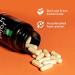 Daiwa Joint Health Supplement - Natural Support for Joint Care - Vegetarian Capsules 30 Count - Buy Online on GoSupps.com