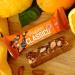 Veloforte Classico Energy Bar - Citrus Fruits & Almonds | Great Taste Award Winner | 100% Natural & Plant-Based | Gluten-Free Sports Performance (9 bars) - Buy Online on GoSupps.com
