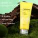 Lemon Vitamin C Exfoliating Gel Gentle Face & Body Scrub for Dead Skin Removal Deep Cleansing Blackhead Pore Minimizer with Vitamin C Moisturizing & Refreshing for All Skin Types 100g - Buy Online on GoSupps.com