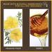 Burt's Bees Goodness Glows Liquid Makeup Honey 1.0 Fl Oz - Natural Coverage for Radiant Skin - Buy Online on GoSupps.com
