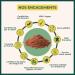 BIOPTIMAL - Cacao Bio en Poudre - Chocolat Chaud P tisserie Dessert - Go t Intense - Sans sucre - Faible en Mati res Grasses - Non Alcalinis - 100% F ve Cacao - Conditionn en France - Ecocert - 300g 300 g (Lot de 1) - Buy Online on GoSupps.com