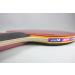 Butterfly Nakama S-5 Table Tennis Racket | ITTF Approved Carbon Paddle with Thick Sponge & Rubber Layer | Includes 2 Ping Pong Balls - Buy Online on GoSupps.com