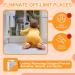 Magnetic Child Safety Cupboard Locks (6 Locks + 2 Keys) - No Drill Baby Proofing for Kitchen Cabinets & Drawers | Adhesive Installation | Includes 2 Sliding Door Window Locks - Buy Online on GoSupps.com