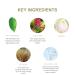PURE FIJI Hydrating Day Face Cream - Multi-Active Moisturizer Gel for All Skin Types | Natural Formula 1.7 Fl. Oz - Revitalize & Smooth Skin - Buy Online on GoSupps.com