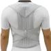Back Support Belt Men Women Adjustable Posture Corrector Lumbar Back Support Brace Silver S - Buy Online on GoSupps.com