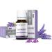 Lavender Essential Oil - 100% Pure & Natural 10ml UNDILUTED - Premium Scent for Aromatherapy & Relaxation - Buy Online on GoSupps.com
