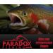 Paradox Fishing Sbirolino Sets | 6g-20g Slowly Falling & Floating | 8 Pieces for Trout Fishing Bait | Ideal for Dough & Spoon Trout - Buy Online on GoSupps.com