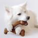 Benebone Wishbone Dog Chew Toy for Aggressive Chewers - Real Bacon Flavor - Made in USA (Medium) - Buy Online on GoSupps.com