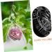 SEWOART Vegetable Shaped Fruitful Vegetable Shaping Transparent Shaping Shaper Melon Cucumber - Buy Online on GoSupps.com