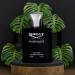 NovoGlow Great Avenues for Men - 100ml Eau De Parfum Spray for Men - Long Lasting Woody Fruity & Smoky Fragrance Smell Fresh All Day Long (B) - Buy Online on GoSupps.com