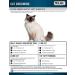 Wahl Professional Animal KM Cordless 2-Speed Clipper Kit for Pet, Dog, and Horse - Poppy - Buy Online on GoSupps.com