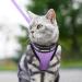 Rabbitgoo Adjustable Cat Dishes with Reflective Stripes - Soft Light Purple for Cats & Kittens (1 Pack) - Buy Online on GoSupps.com