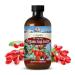 Organic Goji Berry Juice Liquid Goji Juice Improves Absorption Promotes Healthy Skin Increases Energy Helps Inflammation Made from 100% Organic Goji Berries - 500 ml