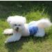 JoyDaog Jean Belly Bands for Small Dogs - Reusable Diapers XS (7-9 Waist) - 3 Pack - Buy Online on GoSupps.com