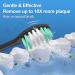 5 Pack Vibe Series Compatible Replacement Toothbrush Heads with Nylon Bristles - Black - Buy Online on GoSupps.com