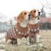 Hjumarayan Boho Dog Sweater for Medium Dogs - Thick Christmas Sweater for French Bulldogs & More | Beautiful Design Perfect for Winter - Buy Online on GoSupps.com