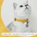 Whoseid QR Code Cat Collar | Customizable Pet Profile | Emergency Contact Silicone Accessory | Lightweight No Jingle | Medium to Large Breeds - Sunset Chevron Design - Buy Online on GoSupps.com