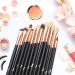 Qivange 12PCS Eye Makeup Brushes Set - Synthetic Hairs Eyeshadow, Eyebrow, Eyeliner Brushes for Concealer, Eye Shadow Blending - Black Rose Gold - Buy Online on GoSupps.com