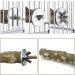 Allazone 6-Piece Bird Seat Rod Set | Premium Cork Seating for Budgies Finches & Aras - Ideal for Bird Comfort - Buy Online on GoSupps.com