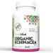 PlantVital Echinacea capsules 500mg Source of Vitamin C and Zinc Treatment for respiratory tract infections Helps relieve cold symptoms 240 capsules Vegan non-GMO. Made in Canada. 240 count (Pack of 1)