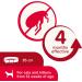 Beaphar Soft Flea Collar for Cats Kills Fleas For up to 4 Months Veterinary Medicine Adjustable With Safety Mechanism For Cats From 12 Weeks of Age 1 x Glitter Collar Colours May Vary - Buy Online on GoSupps.com