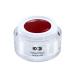 ND24 NAILDESIGN-Color gel for gelails in studio quality-UV & LED suitable-Premium UV gel with high pigmentation & excellent coverage-made in Germany & vegan (5ml | Classic purpur red)