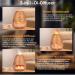 Czemo Aroma Diffuser for Essential Oils | Flame Effect Room Fragrance & Humidifier | 200ml Ultrasonic Diffuser with Salt Lamp & Fragrance Oil - Buy Online on GoSupps.com