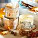 Buy Bath and Body Works Blueberry Maple Pancakes Candle - 14.5 oz 3-Wick Limited Edition Fall Candle | International Shipping Available - Buy Online on GoSupps.com