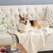Bedsure Waterproof Dog Blanket - Washable Cat Blanket for Couch Protection - Reversible Sherpa Fleece Throw for Small, Medium, Large Dogs - Furniture Protector - Grey - Buy Online on GoSupps.com