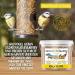Buy Dried Soldier Fly Larvae 460g - High Protein Bird Hedgehog & Fish Feed | Premium Reptile & Turtle Snack - 100% Natural Insect Nutrition - Buy Online on GoSupps.com