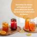 KombuChic: Kombucha SCOBY Starter Set | Tea Fungus Recipes & Free eBook for Perfect Brew - Buy Online on GoSupps.com