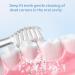 KOPBTBOY Children's Replacement Brush Heads for Seago SG513/SG977/SGEK6 for Brush-Baby WildOnes/KIDZSONIC/Dada-Tech DT-BB1/DT-977/DT-K6 Over 3 Years - Buy Online on GoSupps.com