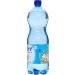 VICHY CELESTINS Sparkling Water 1.25L - Pack of 6 Bottles - Buy Online on GoSupps.com
