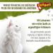 Delibest Cat Snack - 100% Swiss Veal Treats for Cats | Semi-Damp Digestible Allergy-Friendly 45g - Buy Online on GoSupps.com