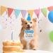 Shop Amaxiu Birthday Hat & Scarf Set for Small Dogs & Cats - Cute Pet Birthday Bandana Accessories Embroidered Puppy Decorations (Blue) - Buy Online on GoSupps.com