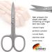 3 Swords Germany - Brand Quality Stainless Steel INOX Curved Nail Scissors with case Manicure Pedicure Grooming - Professional Nail Care by 3 Swords Made in Germany - Buy Online on GoSupps.com