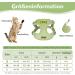 Adjustable Cat Leash Set & Outbreak-Proof Dishes for Cats and Kittens - Green | International Shipping - Buy Online on GoSupps.com