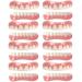 Xzlzmd pebble dentures reusable upper jaw and lower jaw denture cosmetic veneer teeth prosthesis for a perfect smile 8 pairs