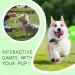BOMPOW Puppy Teething Toys from 8 Weeks Interactive Dog Rope Toy Natural Cotton Dog Chew Toy 7 Packs  - Buy Online on GoSupps.com