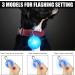 7-Piece LED Dog Light Pendants - Flashing Safety Collars for Dogs & Cats | Multi-Mode Luminous Pet Bands & Keychains for Kids & Joggers - Buy Online on GoSupps.com