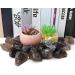 Xiannvxi 2 Smoky Quartz Crystal Gemstones Set - 100% Natural Raw Stones - Premium Mountain Crystals for Spiritual Healing - 4pcs - Buy Online on GoSupps.com