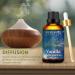 100ML Vanilla Essential Oil 100% Pure Undiluted Aromatherapy Vanilla Oil 3.38fl.oz for Soap Candle Making Massage Diffuser Humidifier BR-Vanilla 100.00 ml (Pack of 1) - Buy Online on GoSupps.com